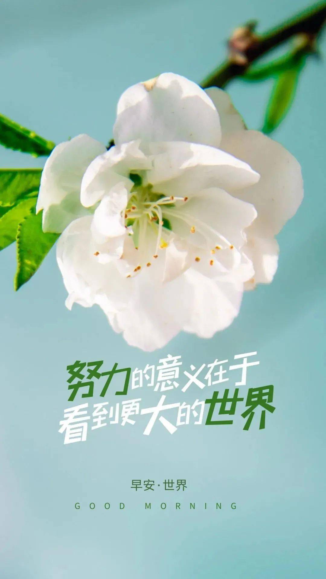 3月11日早安心语努力奋斗语录句子周五最新漂亮正能量早安图片
