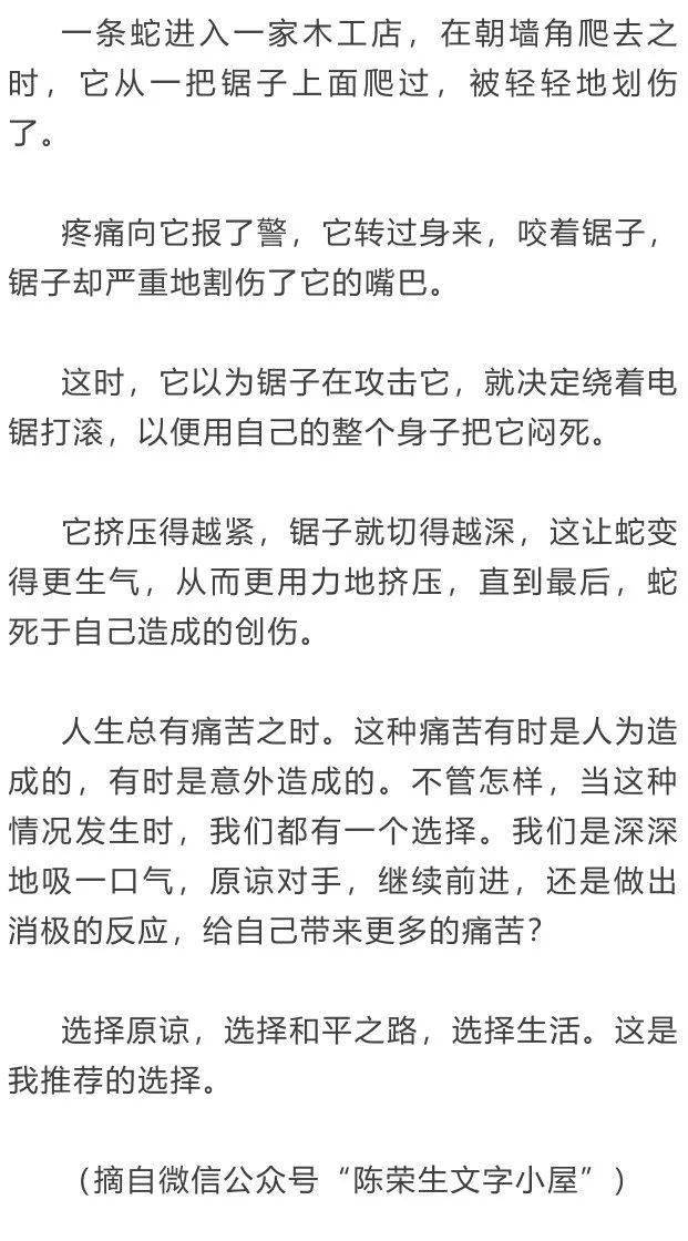 品味莲乡蛇与锯