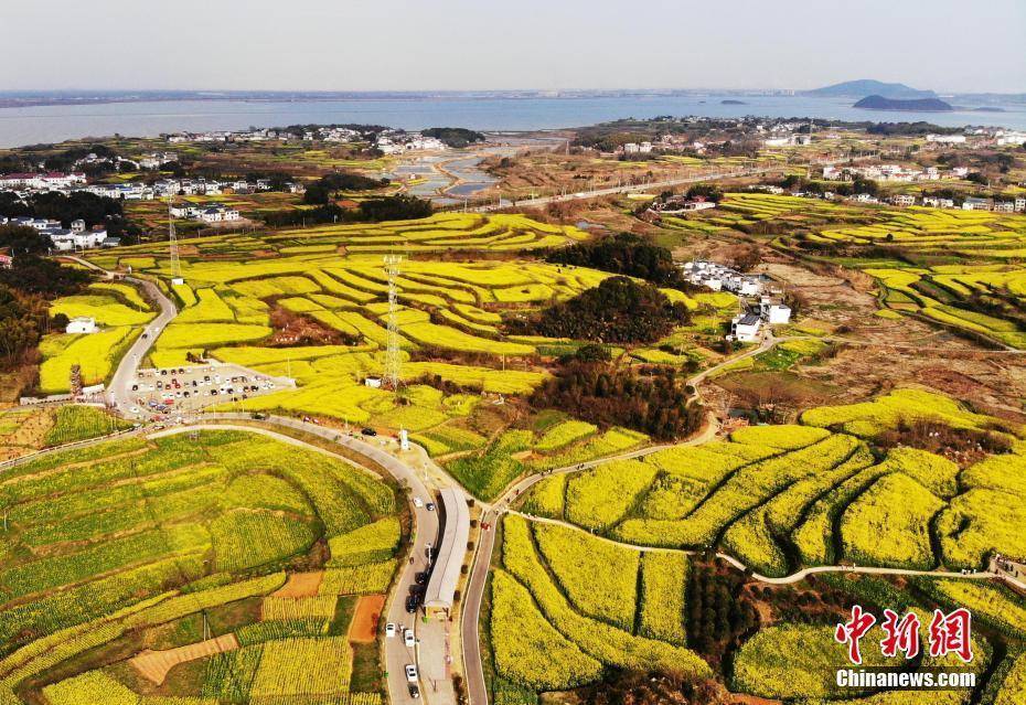 百花,景色,春日,景色|春日限定景色！各地百花绽放