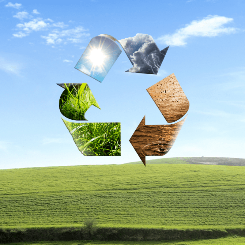 百科关于可生物降解材料你想知道的都在这了