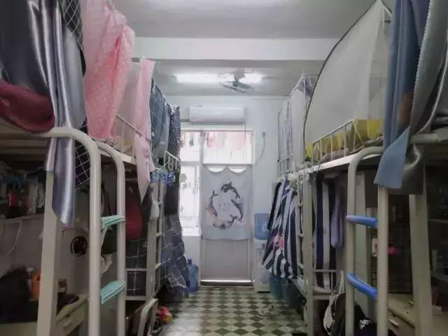 公办广东农工商职业技术学院录取分数学校环境宿舍介绍