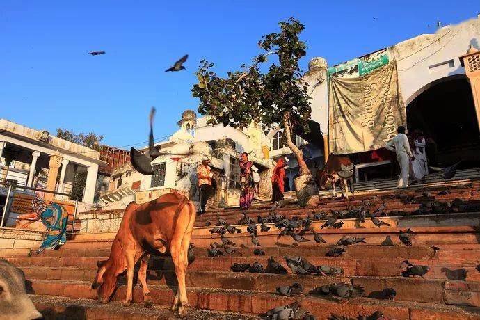 妇女为什么说印度纱丽是世界上最美的衣服？附17条印度冷知识