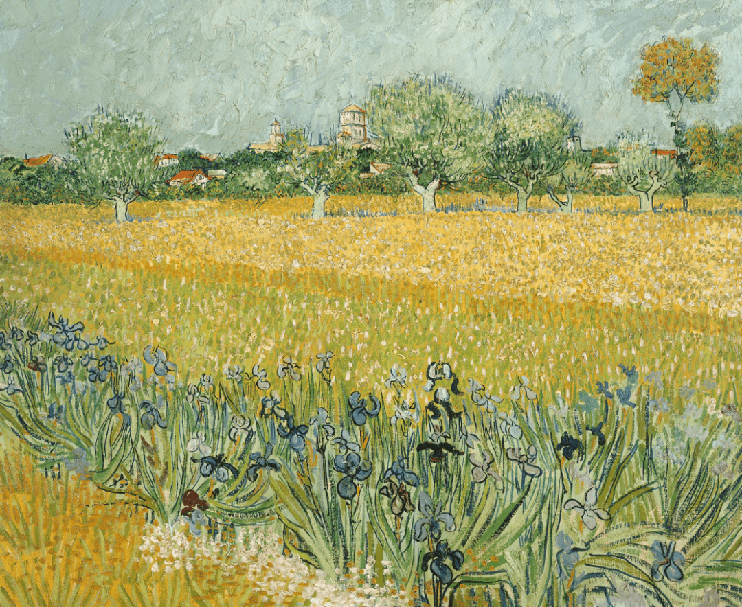 白杨|想看看，有多少人答对一半以上