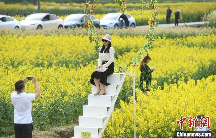 重庆|重庆菜花节：村民舞龙迎客 市民赏花踏青