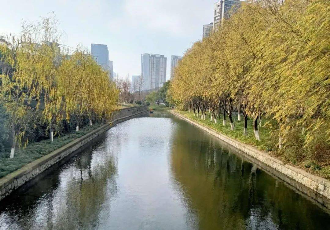 清水绿堤:水质怎么样?这个行动告诉你