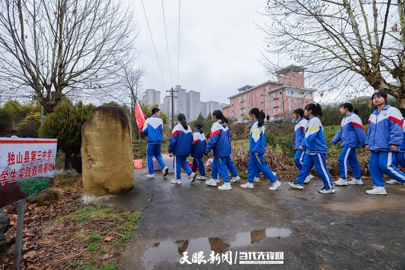 独山县第三中学 植树共建绿色校园 发展 实践 教育