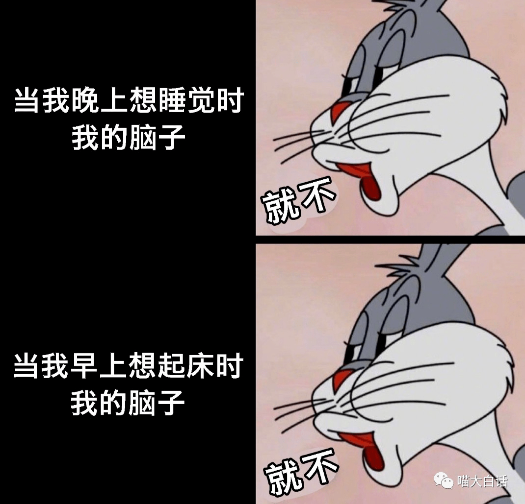 我的腦子:說說,你還想幹哈?