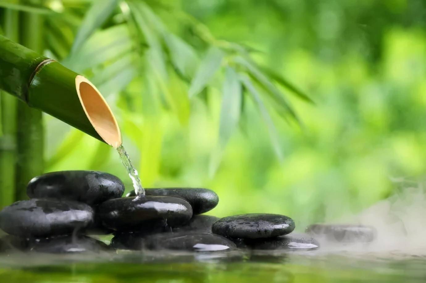 忘记不好的,看淡失去的.