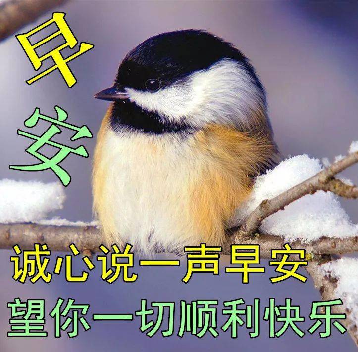 3月14日早上好祝福语图片大全