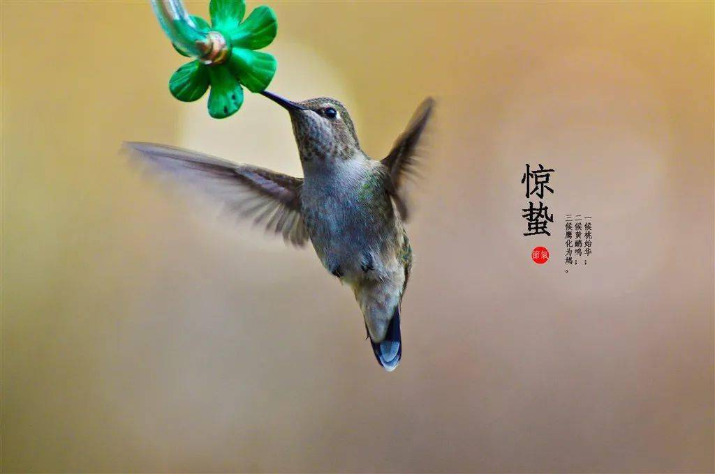 银河美文丨秋石:惊蛰一动唤春来