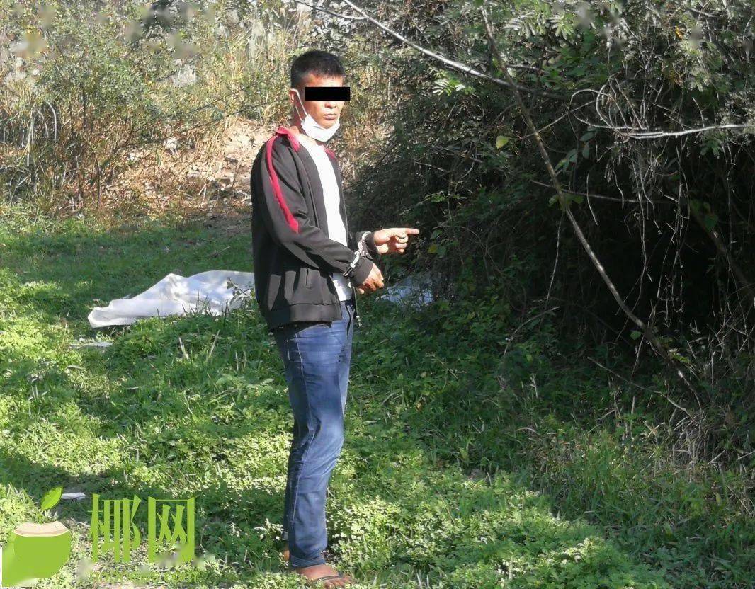 事发乐东!盗窃黄牛11头!"偷牛贼"落网_案件_报警_侦查