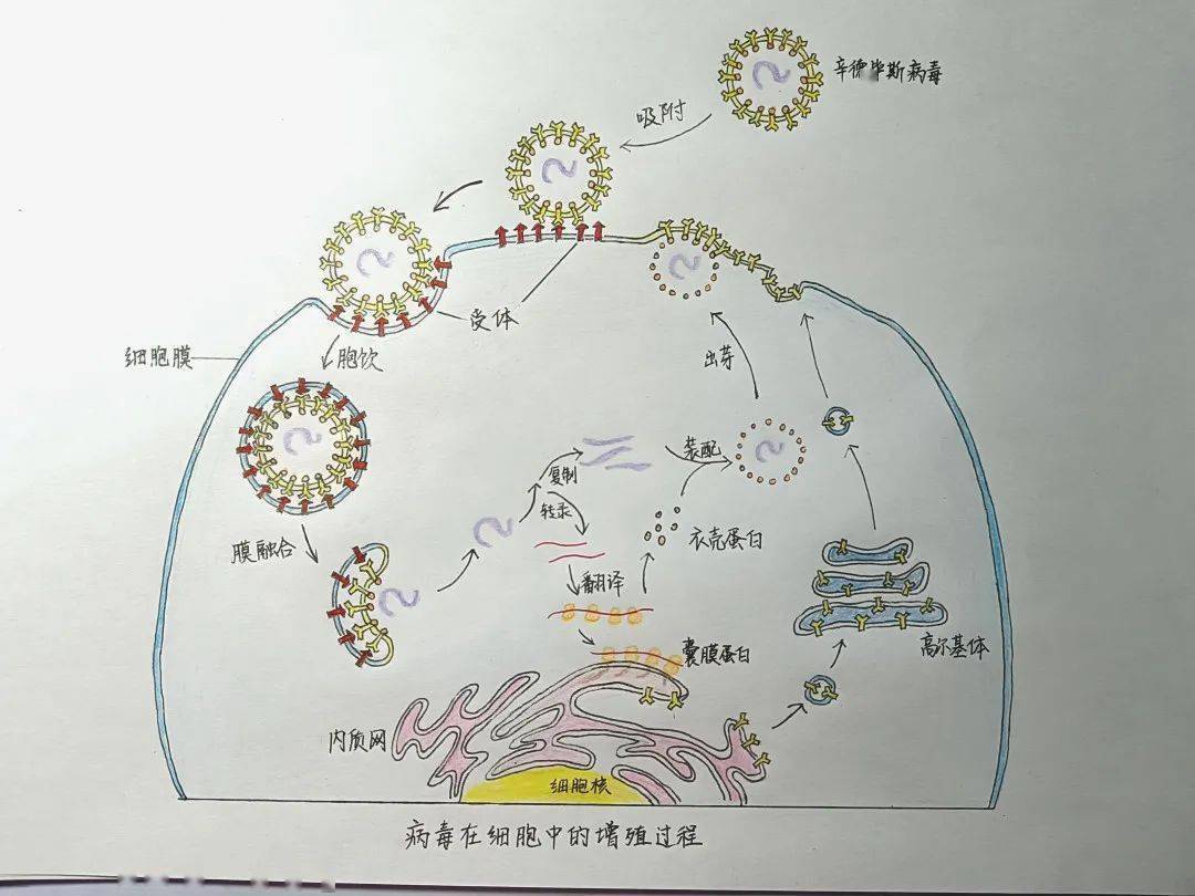 2022年