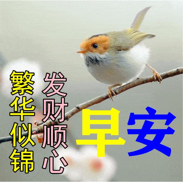 3月14日早上好祝福语图片大全问候动态表情图片大全