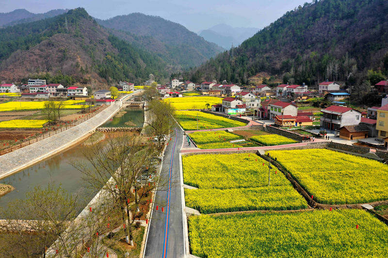 湖北省襄阳市保康县马良镇宋家湾村油菜花田湖北省襄阳市保康县马良镇