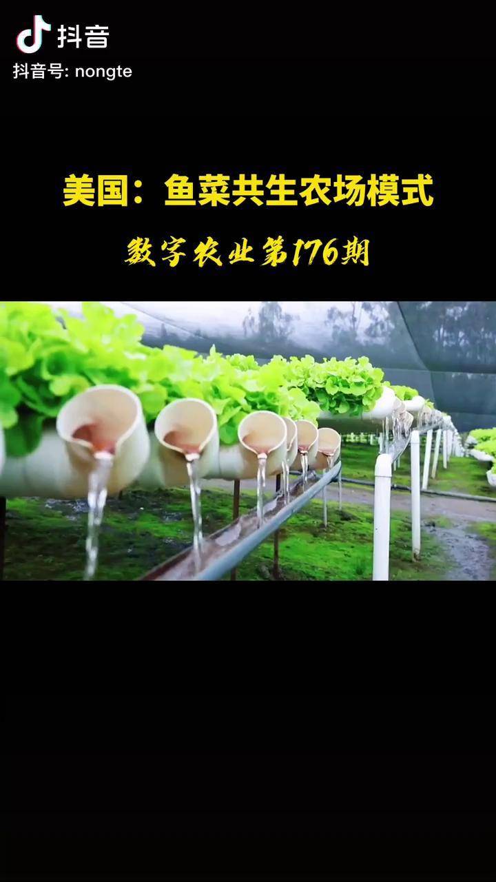 美国鱼菜共生农场模式这样农场规模不大一个人就可以管理一个农场你想