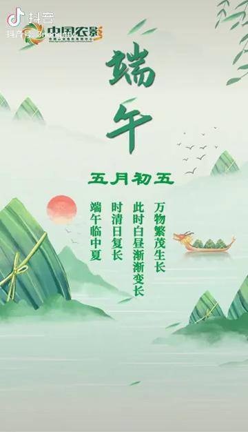 五月初五迎来端午粽子飘香情意浓厚吉祥安康端午
