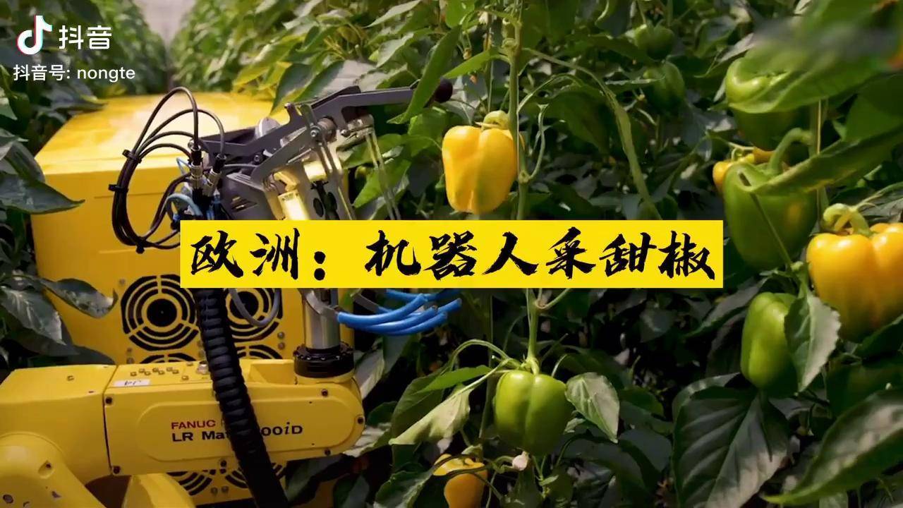 欧洲机器人采甜椒技术农业机械荷兰以色列机器人