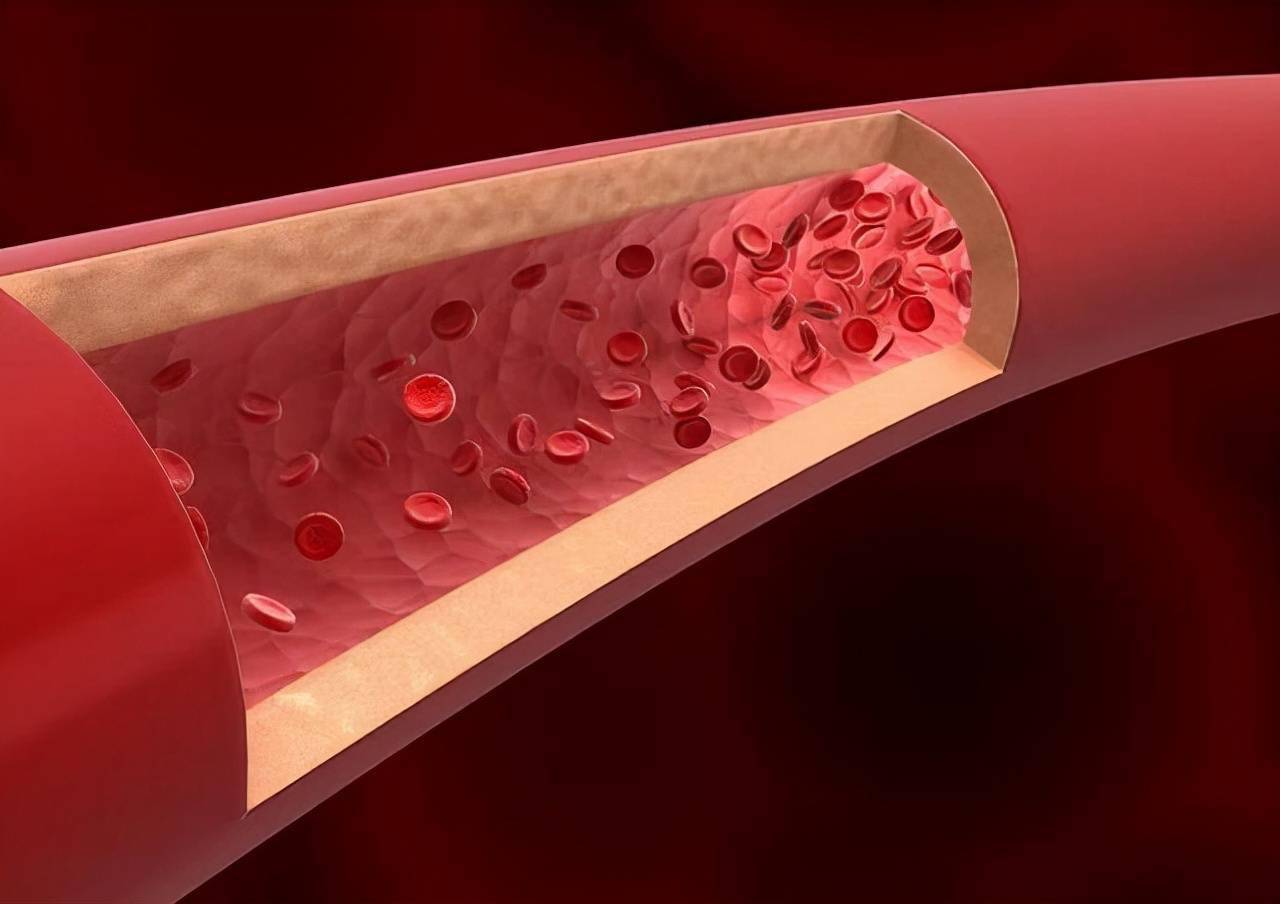 医生忠告:戒烟别超过这个岁数_肺部_心脑血管_影响