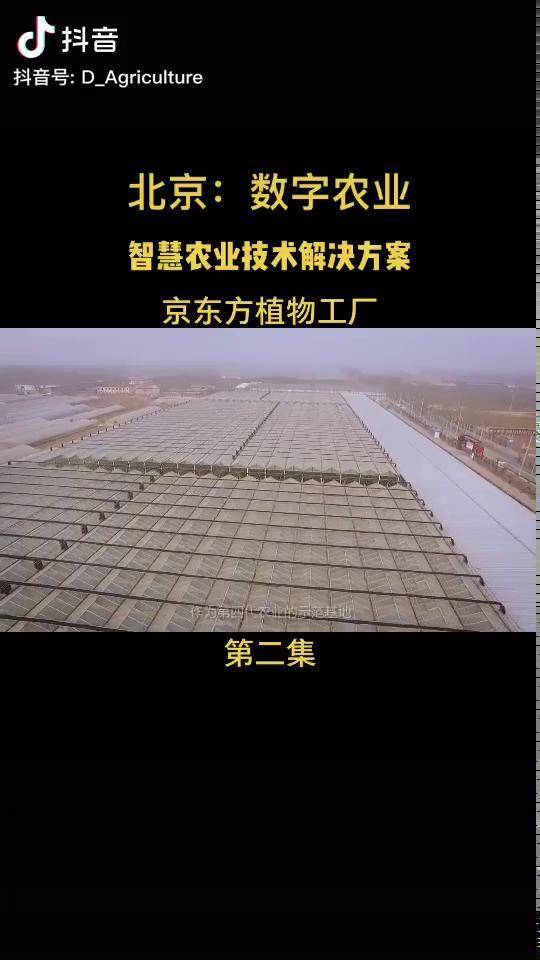 数字农业京东方ai植物工厂智慧农业技术解决方案