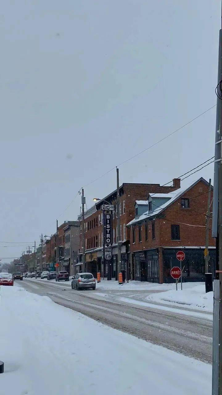 这个图集还原了最真实的蒙特利尔冬天一起来看雪景吧