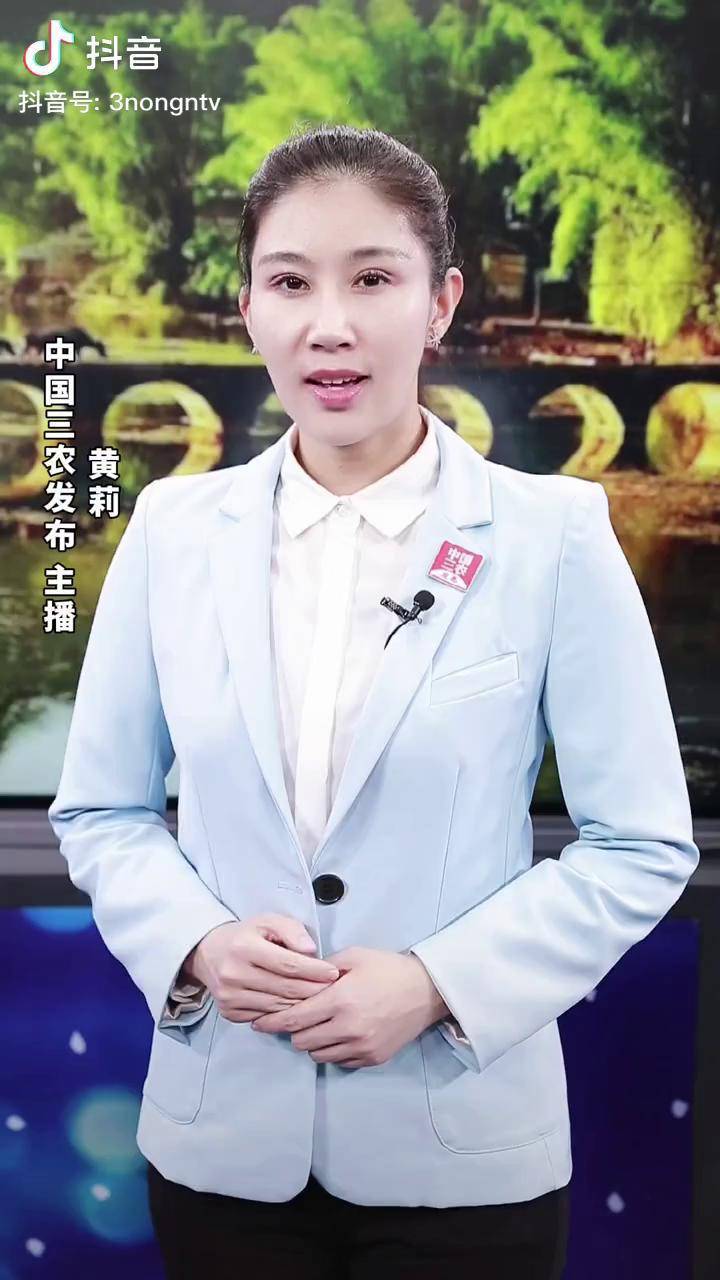 三农快评中央一号文件快评六平安才有幸福稳定才能发展2022年中央一号