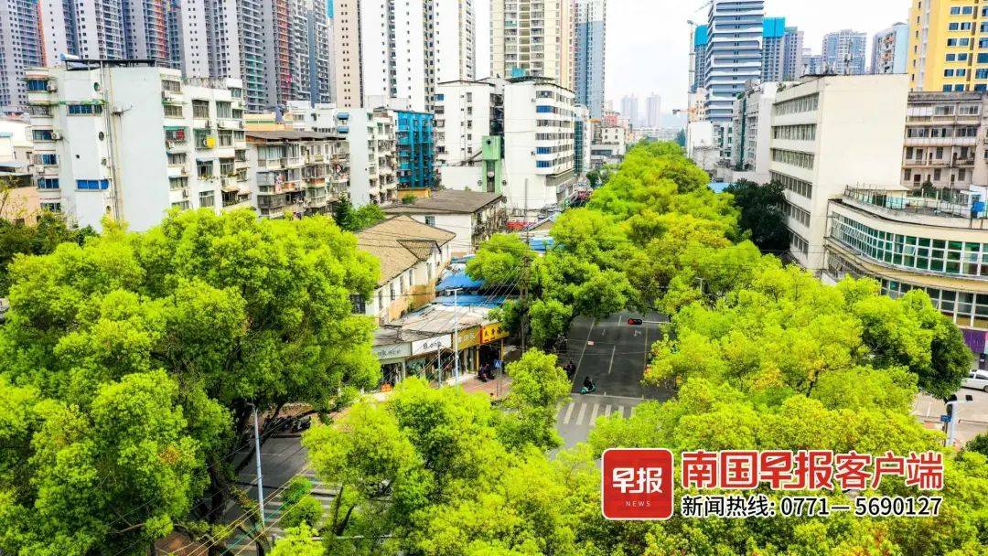 南宁建政路绝了