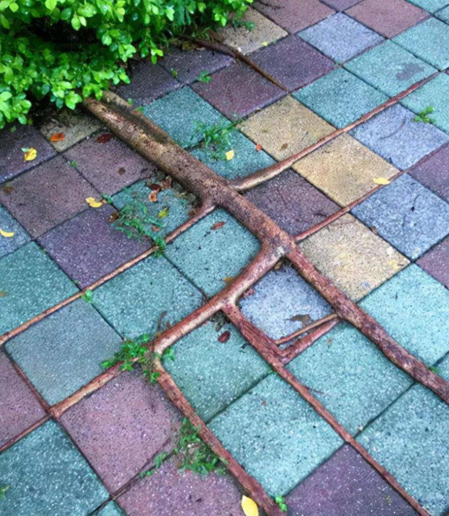 60张治愈强迫症的完美照片