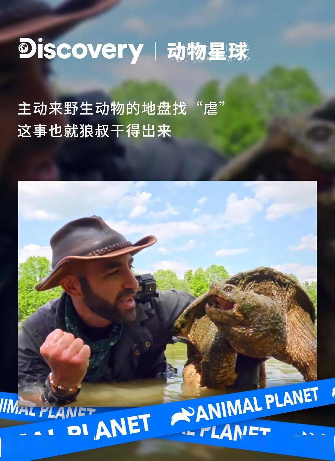 快乐着在《卡悠提·彼得森野地大胆王》节目中镜头就曾记录下许多狼