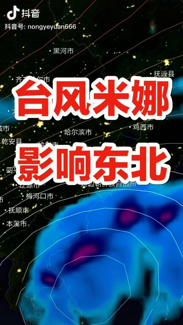 农业农业苑台风米娜影响东北3号风力可达78级
