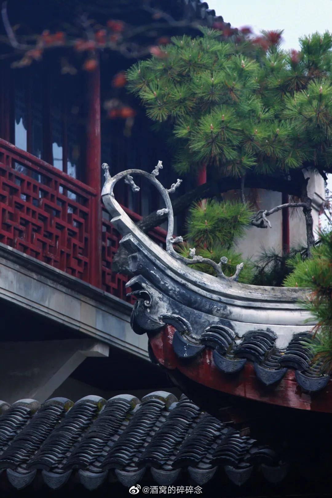 苏州园林的塑脊之美