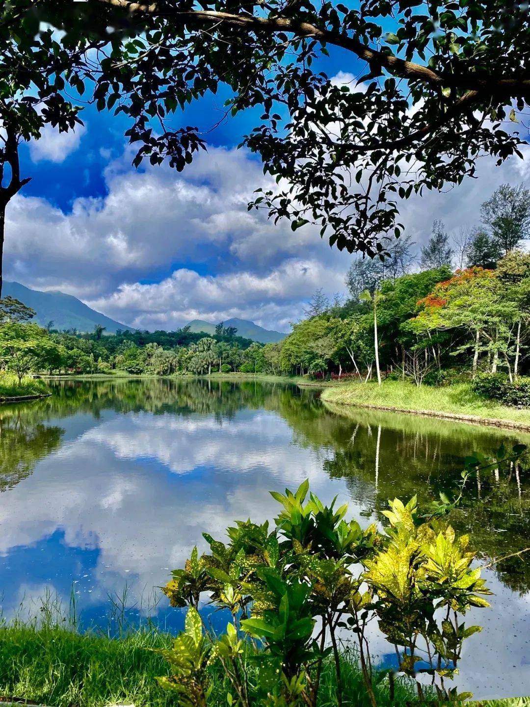 解锁花式玩法万宁春游攻略来袭