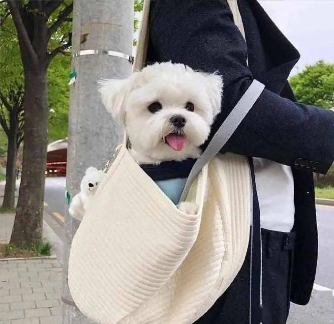 头像可以不被爱但是不能不漂亮