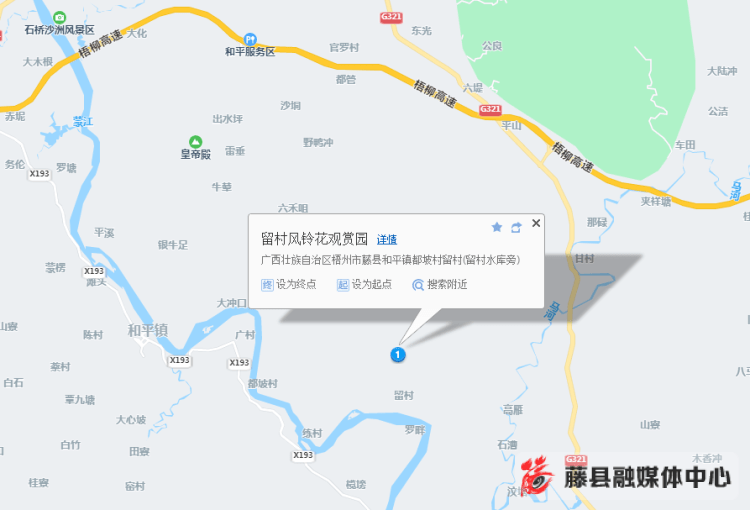 一起去和平镇留村"黄金花海"赏花吧!_风铃_的发展_藤县