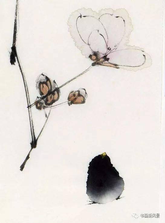 秦天柱禅意花鸟20幅