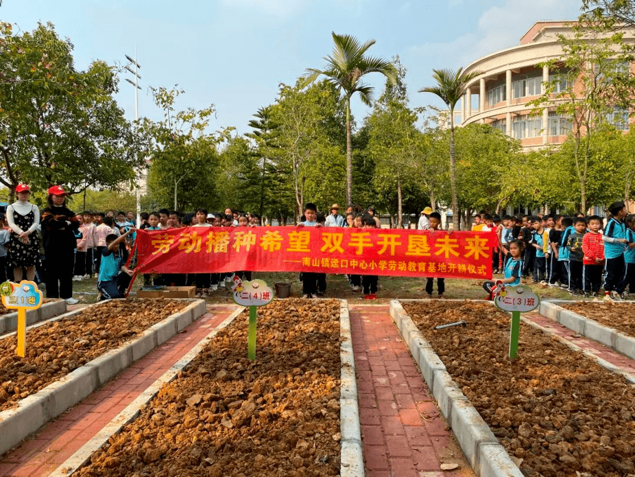 文明校园 | 校园版"开心农场"走俏,三水学生变身小农夫体验农耕乐趣
