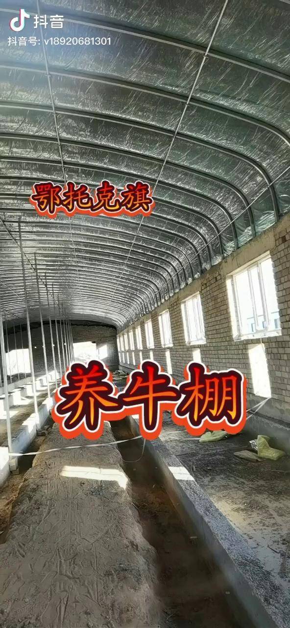 牛棚建設僅供參考養牛棚溫室大棚安裝設計養殖棚