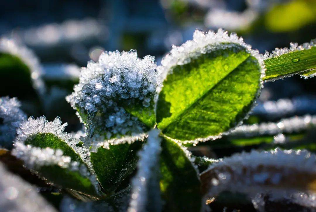 關注天氣遼寧將迎2018年來同期最強區域性暴雪過程