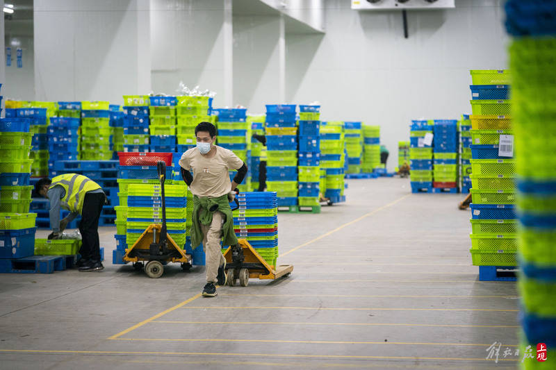 松江生鲜电商仓库日均处理超75万件分拣小哥凌晨忙到飞起