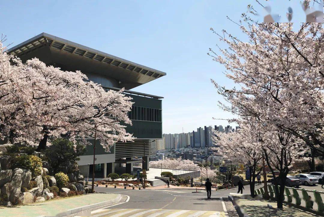 所高校申请审核制语言类专业硕博士研究生开始招生_教育部_大学_认证