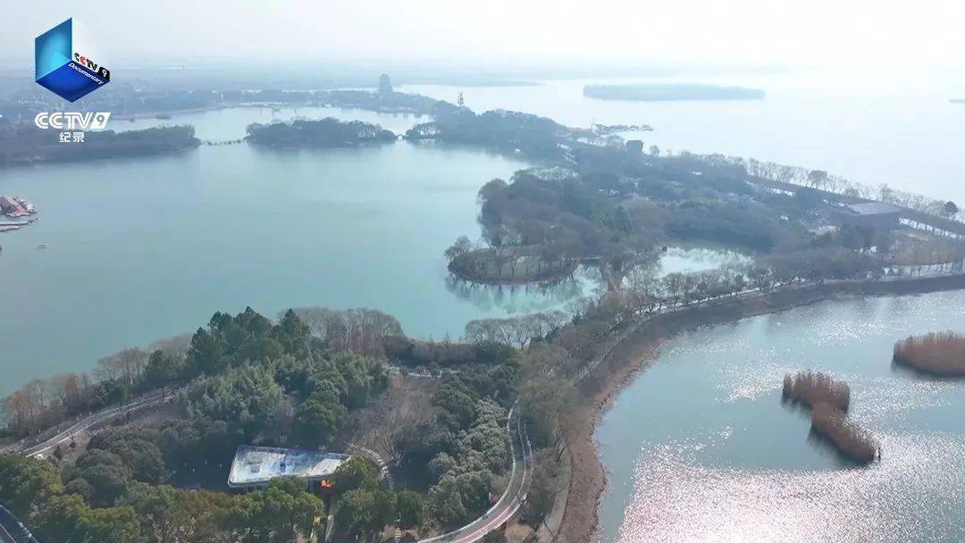 央视再次聚焦盐都这处美景_大纵湖_旅游_盐城