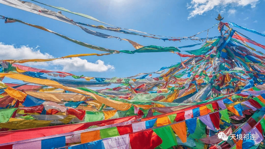 在湖畔边与五彩经幡相伴相随零星散落在祁连万顷的大地之上经幡随风