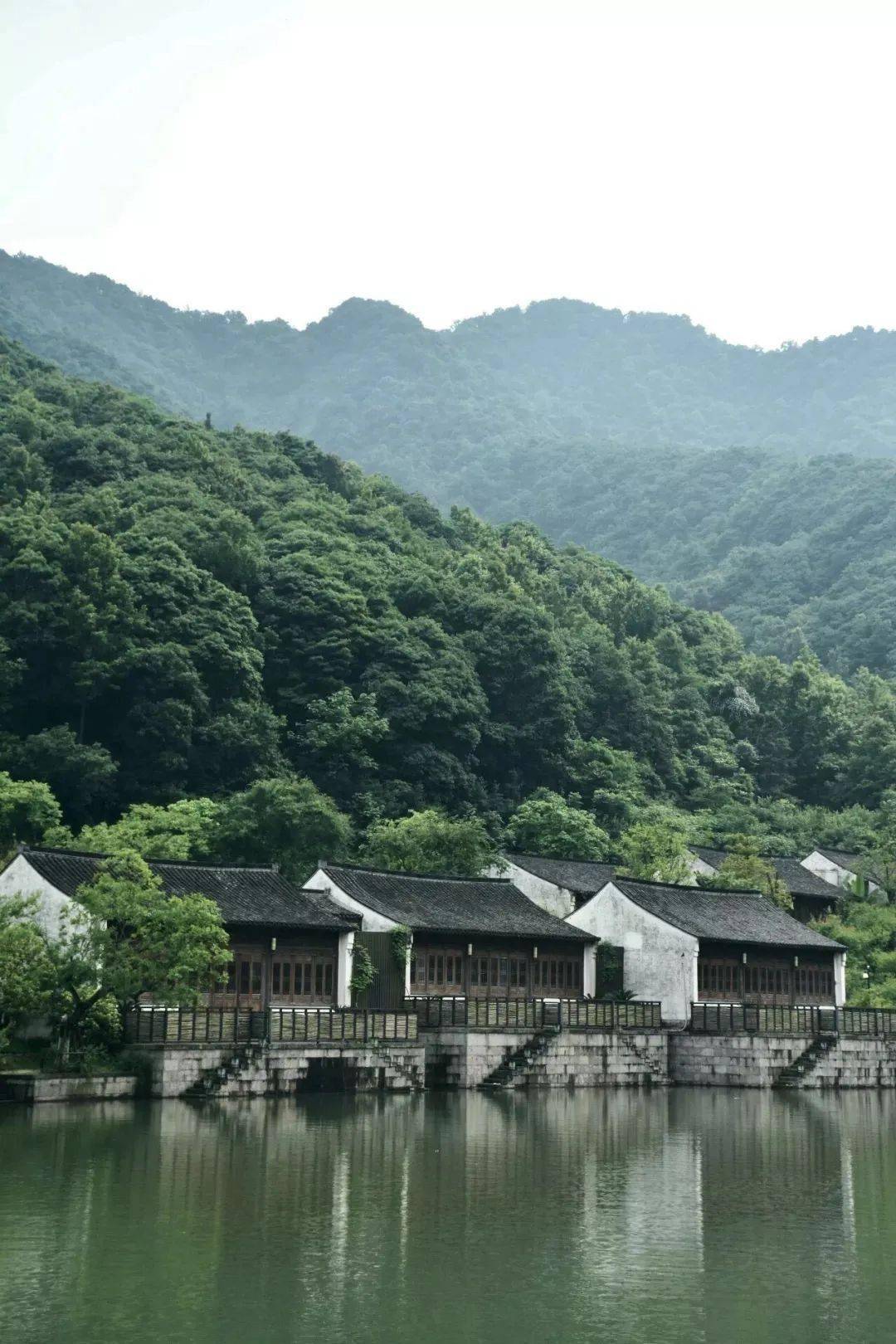 春来烂漫赏樱期已至这家安麓就隐于江南水乡最美粉樱花海