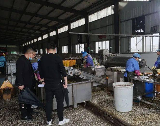 粉條類食品生產企業和小作坊進行突擊檢查,重點檢查原輔料採購驗收