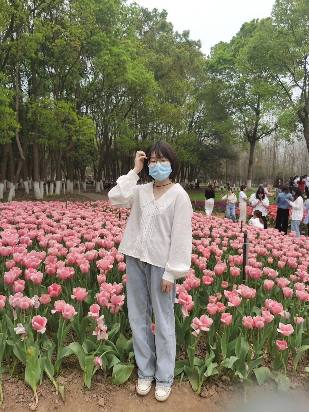 株洲钢琴广场的郁金香开啦遍地都是少女心