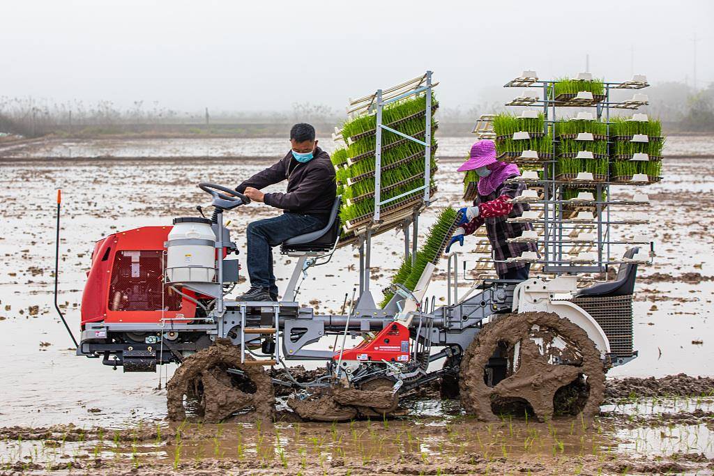 春事看农桑丨农田就是农田