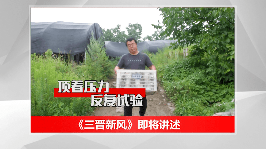 三晋新风大学毕业后回乡种地的他成了村民口中的愣头青