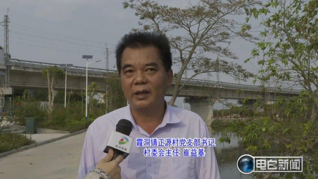 霞洞这条村厉害了养鸡又养白鸽一起搞大钱