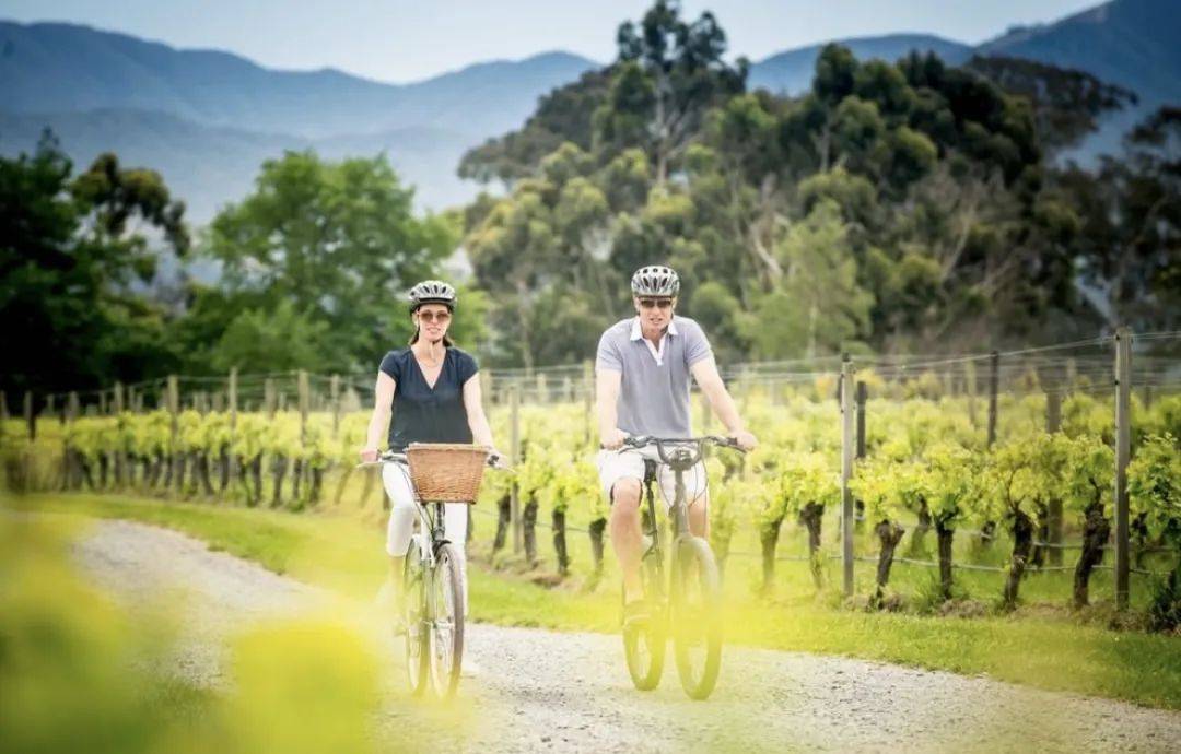 什么|拥有一座葡萄酒庄什么感觉?这十家酒店带你体验