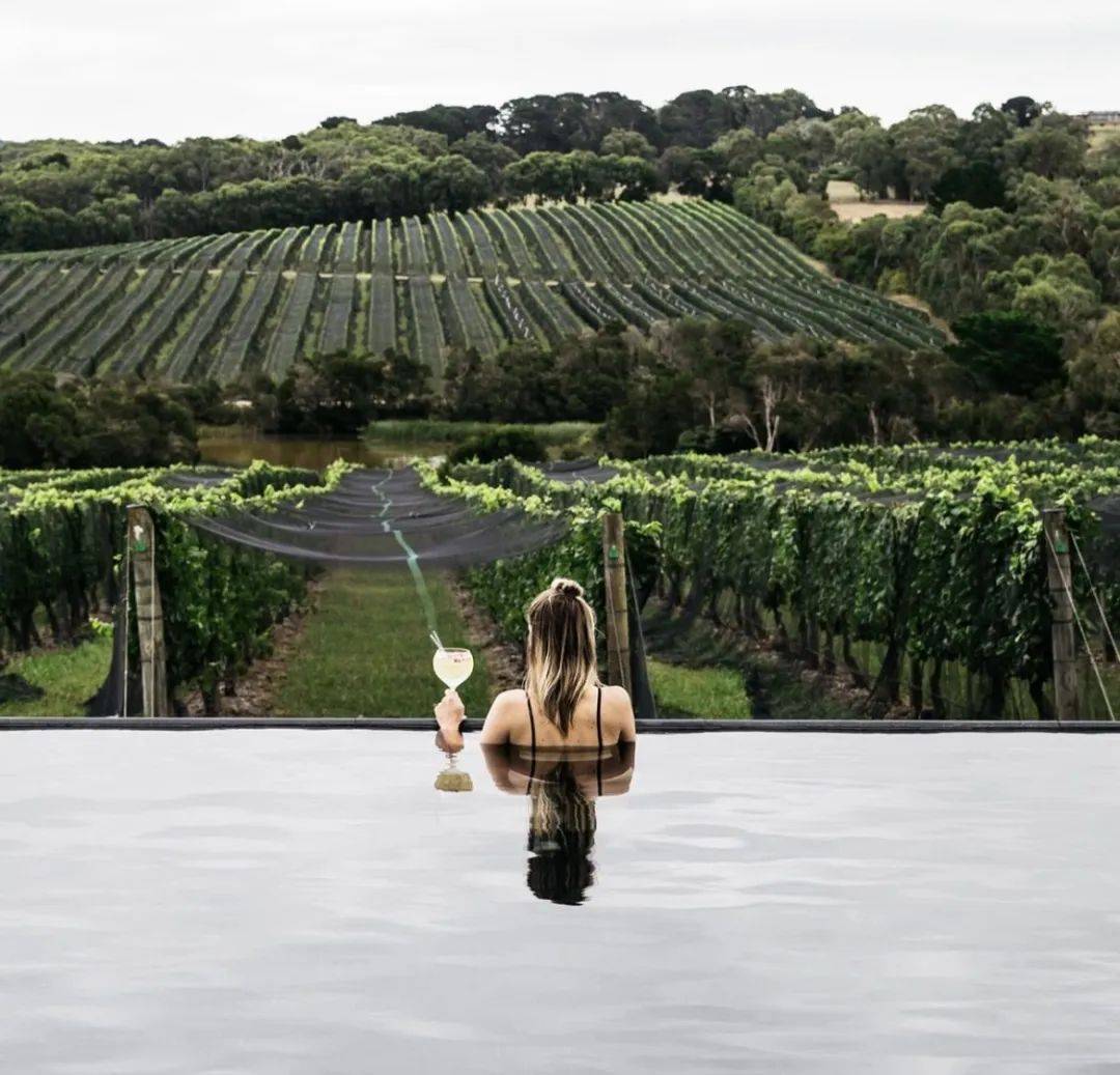什么|拥有一座葡萄酒庄什么感觉?这十家酒店带你体验