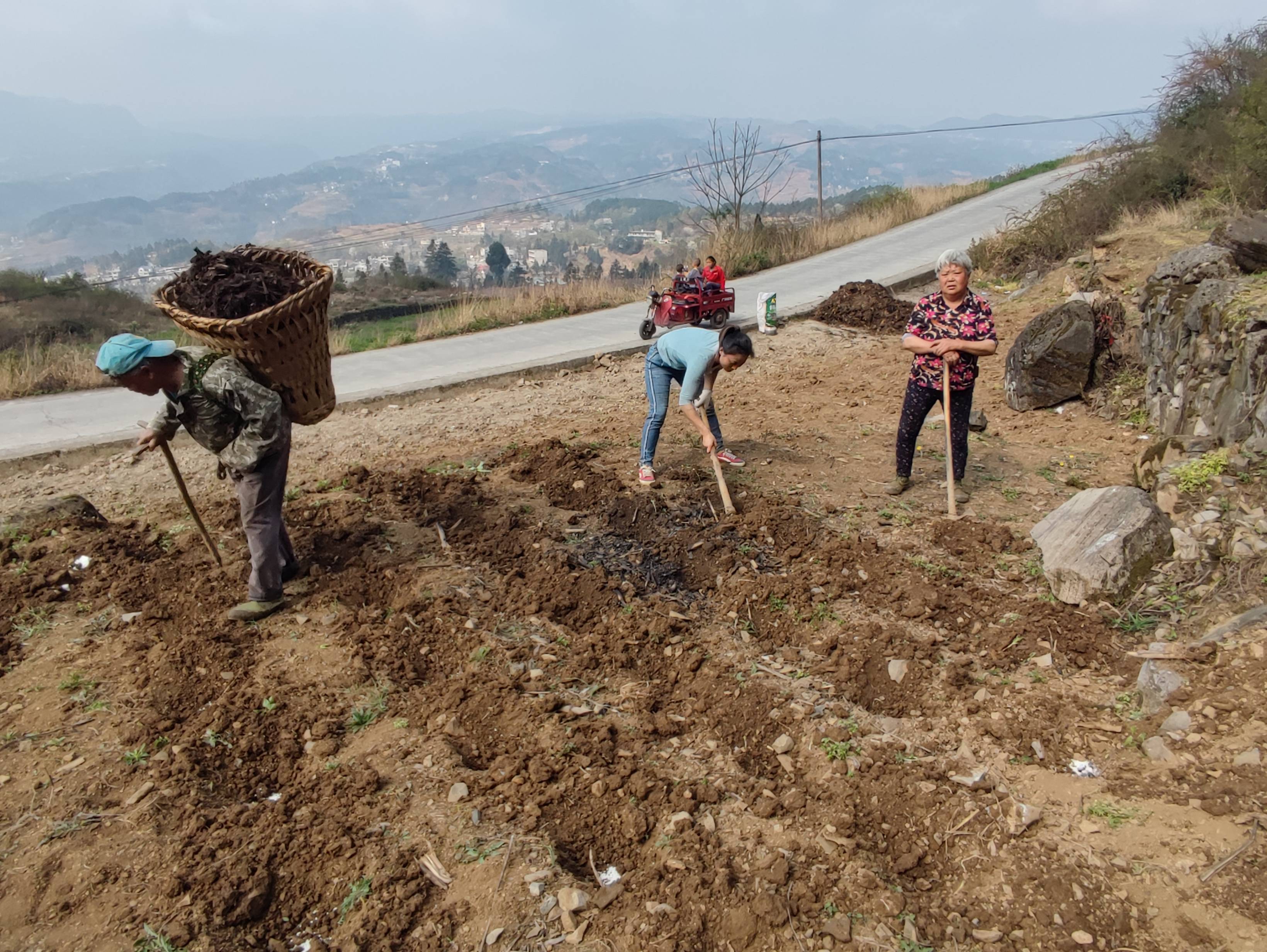 大方县小屯乡不负春光忙耕耘